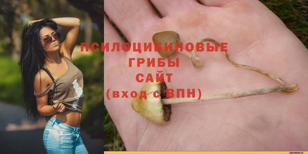 ПСИЛОЦИБИНОВЫЕ ГРИБЫ Нефтегорск