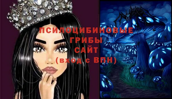 бутират Алексин
