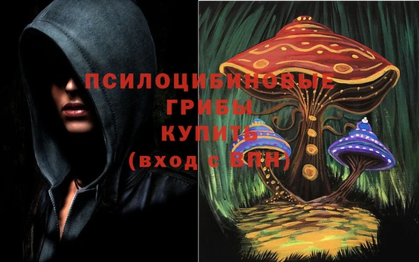 2c-b Алзамай