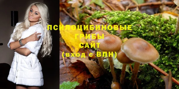 бутират Алексин