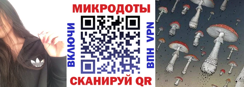 как найти наркотики  Хвалынск  Галлюциногенные грибы прущие грибы 