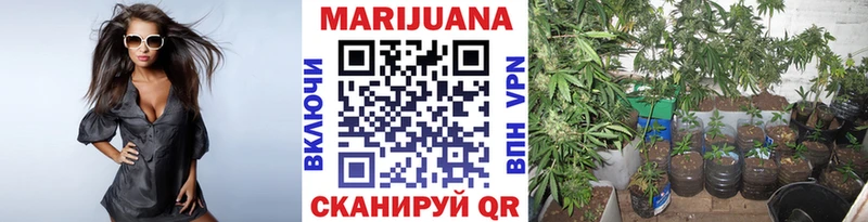 МАРИХУАНА SATIVA & INDICA  где продают   гидра зеркало  Хвалынск 